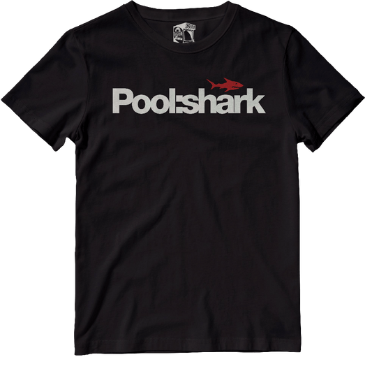 SUMMER IS NEARLY OVER BUT WERE YOU A POOL SHARK?